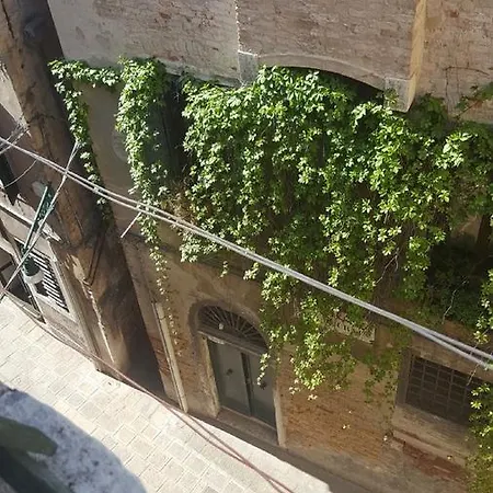 House 招待所